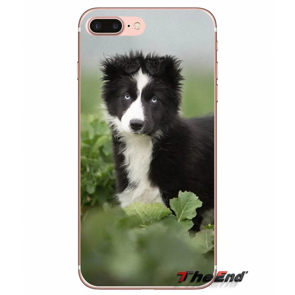 Силиконовый защитный чехол для Apple IPhone X 4 4S 5 5S SE 5C 6 6s 7 8 плюс Plus Бордер-терьер Borzoi с