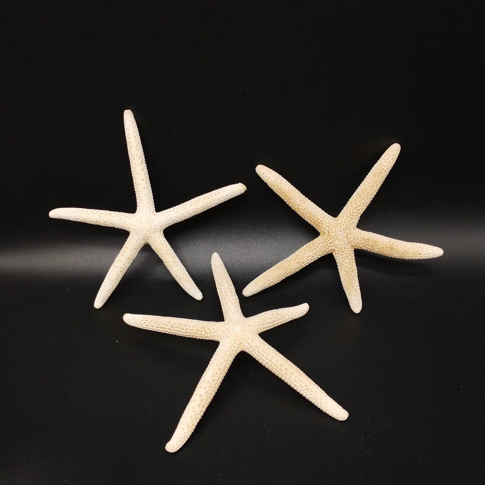 Лидер продаж 1 шт. белая натуральная морская звезда на палец украшение для