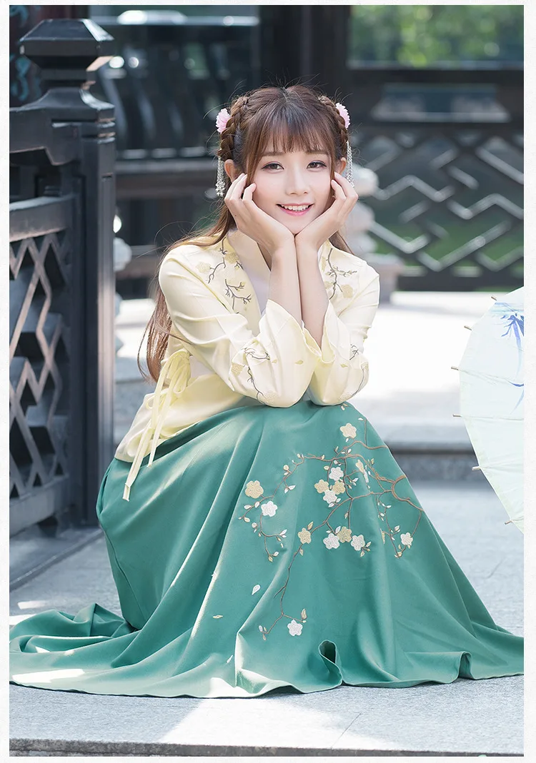 Hanfu для женщин Китайская традиционная одежда китайское платье Хэллоуин косплей костюм девушка цветок сливы Тан костюм взрослая юбка