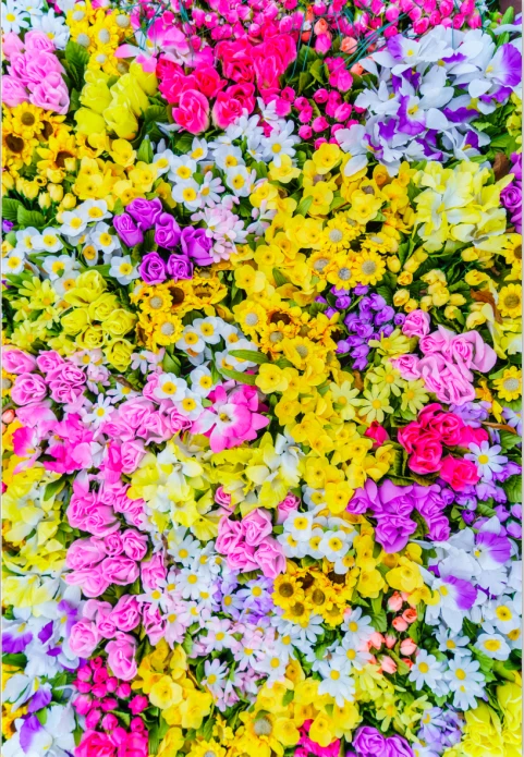 Фон для фотосъемки Allenjoy розовый фиолетовый желтый белый | Электроника