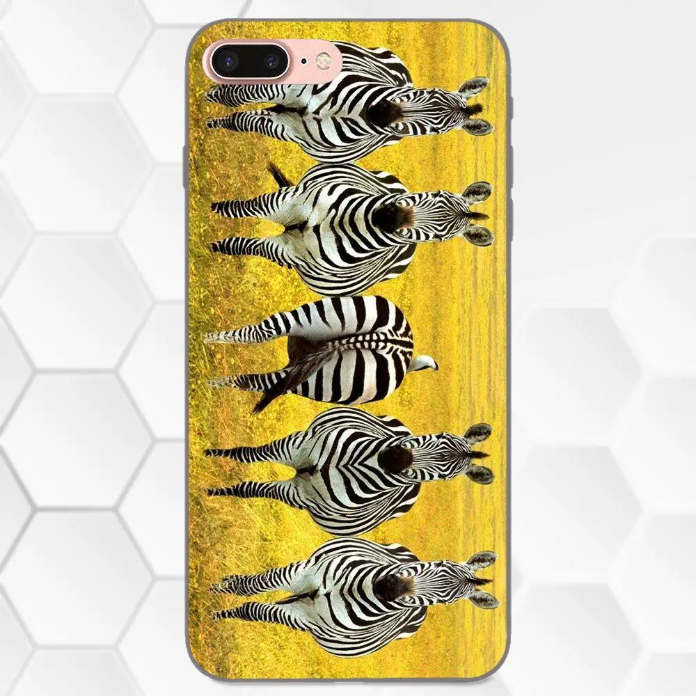 TPU Live Love Phone Zebra Horse для Galaxy C5 C7 J1 J2 J3 J330 J5 J6 J7 J730 2017 Ace Core Duo Max Mini Plus Prime Pro|Бамперы| |