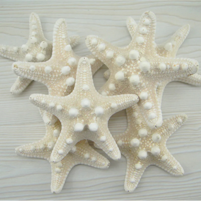 12 шт белые морские раковины натуральные пропаренные хлеб модные настенные