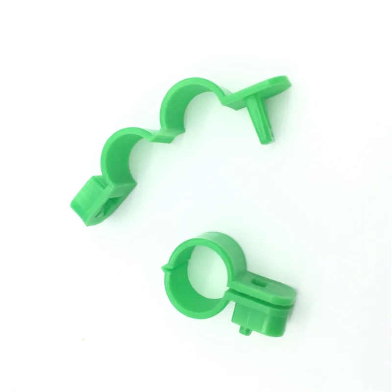 1000 шт. кольца для кур перепелок инструменты птиц куриная нога кольцо день