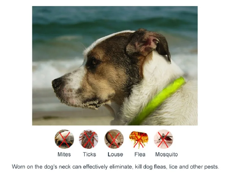Newest Waterproof Non-toxic No Insecticides Collar Dog Cat Repel Tick Flea Quick Kill Remover Pets Protection Aroma Neck | Дом и сад