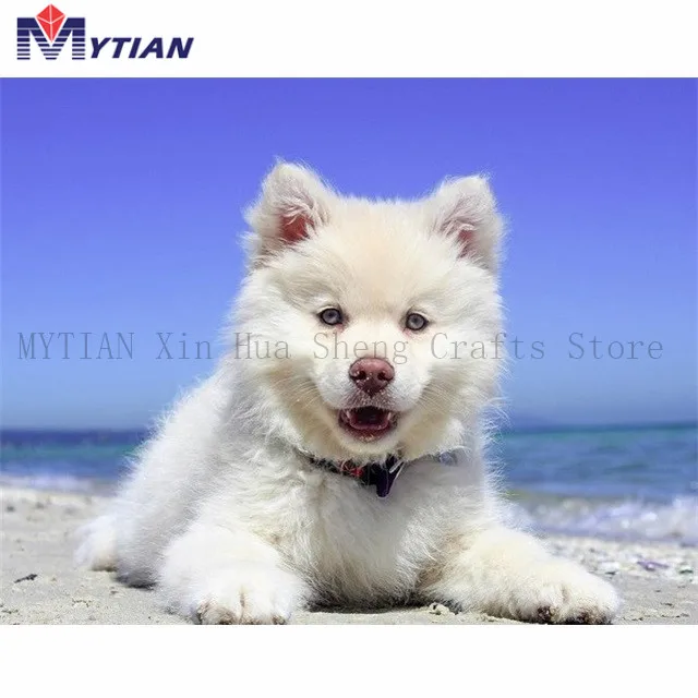 

5D DIY Full Drill Square Round Diamond Painting Cross Stitch Diamond Embroidery Dog on the Beach Rhinestone Diamond Picture Gift