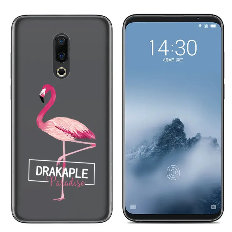 Силиконовый чехол Arvin для Meizu 16 16X 16th Plus мягкая задняя крышка из ТПУ M5C MX6 M6S Pro 6 M5 note M6