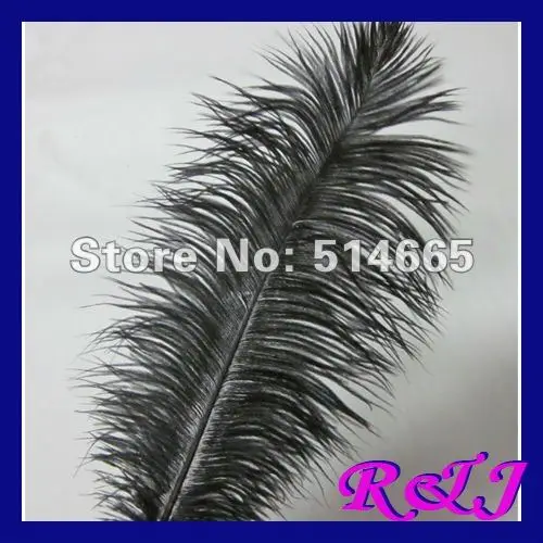 

Free shipping Cheap ostrich feather 100pcs 14-16 inches 35-40cm black Ostrich plumage ostrich plume