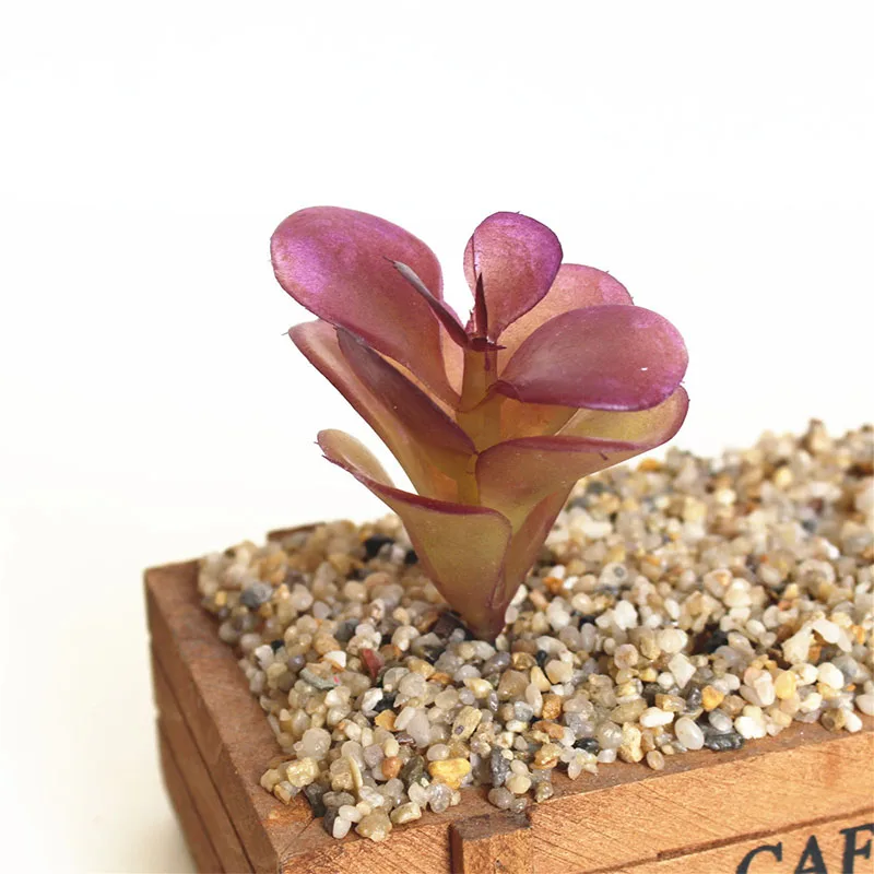 21 Charming Accessories Flocking DIY Mini Plant Plastic 1pc New Bridal Bouquet Fashion Purple Succulents Flower wall Floral - Цвет: 21