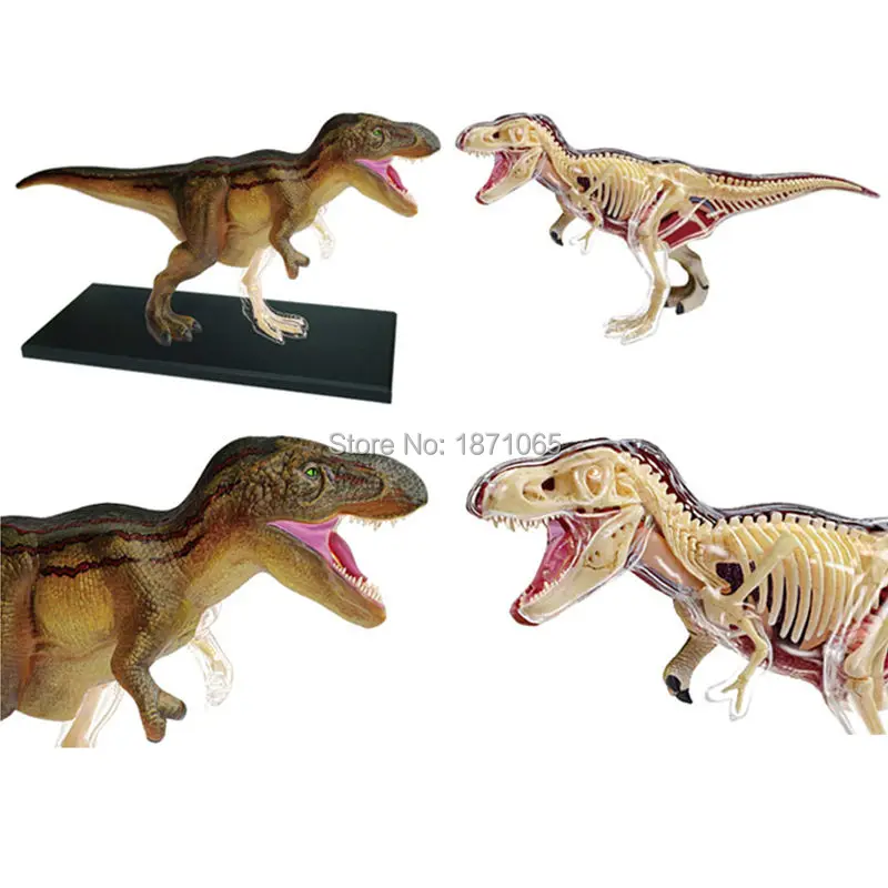 Животные видение Анатомия динозавр Жираф запястье Дракон Тигр Слон Акула Модель