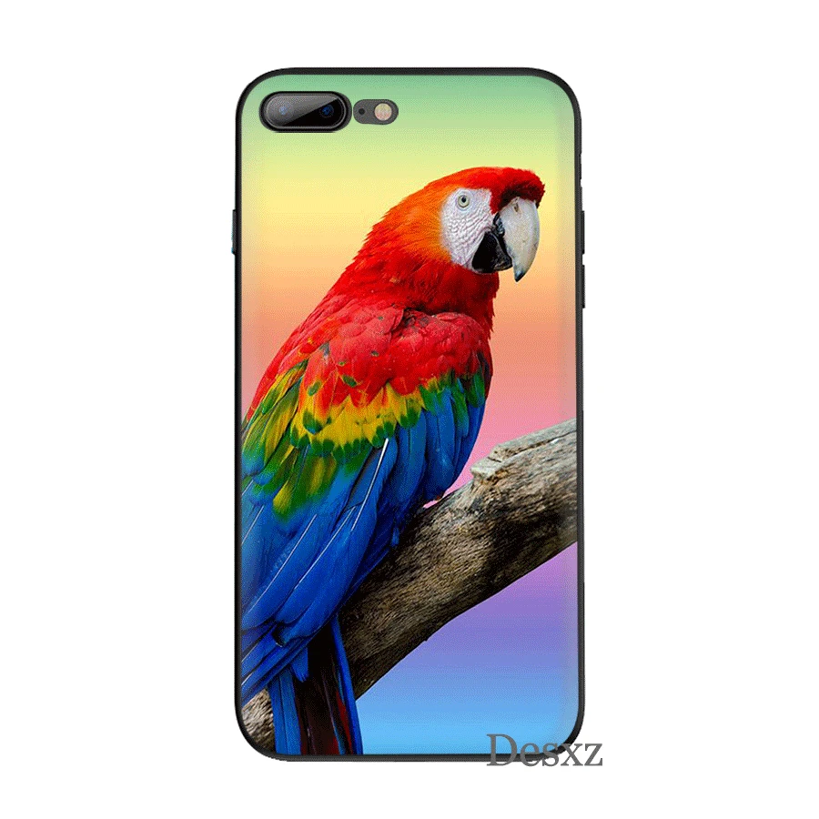 Черный мягкий ТПУ чехол для iPhone 11 Pro 5 5S SE 6 6s 7 8 Plus X XS XR Max|Чехлы-накладки| |