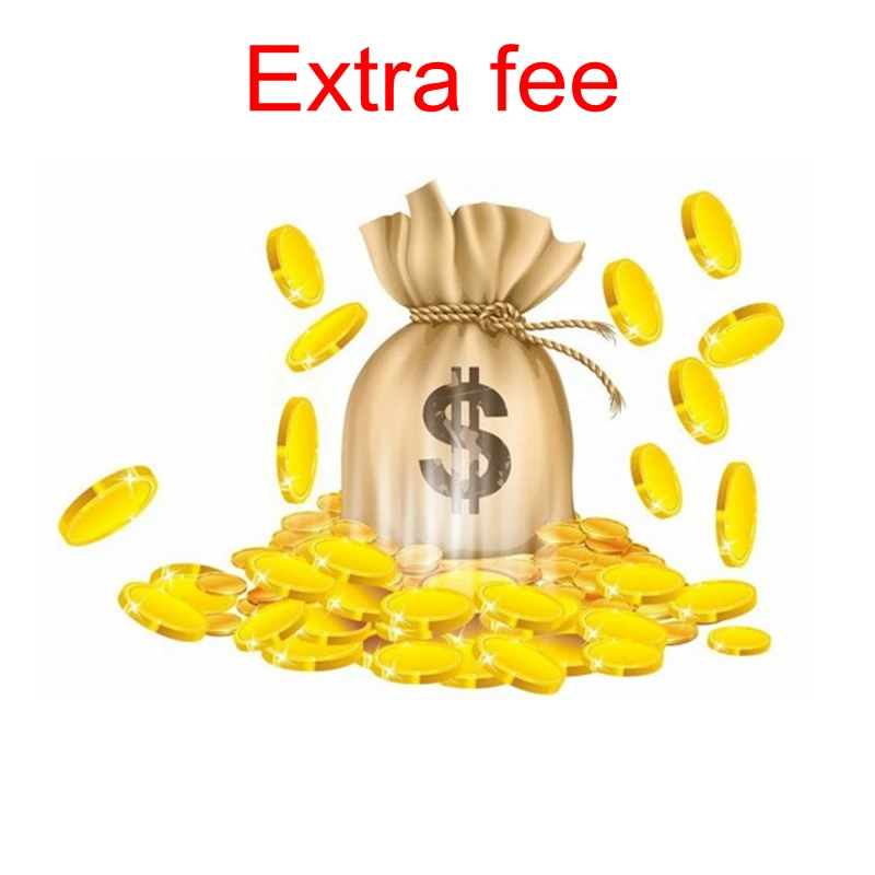

Payment for Extra Fee