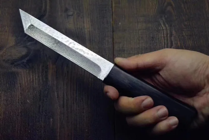 2019 кованые Дамасская сталь VG10 уличный кемпинг тактический Ножи Blade ebony ручка