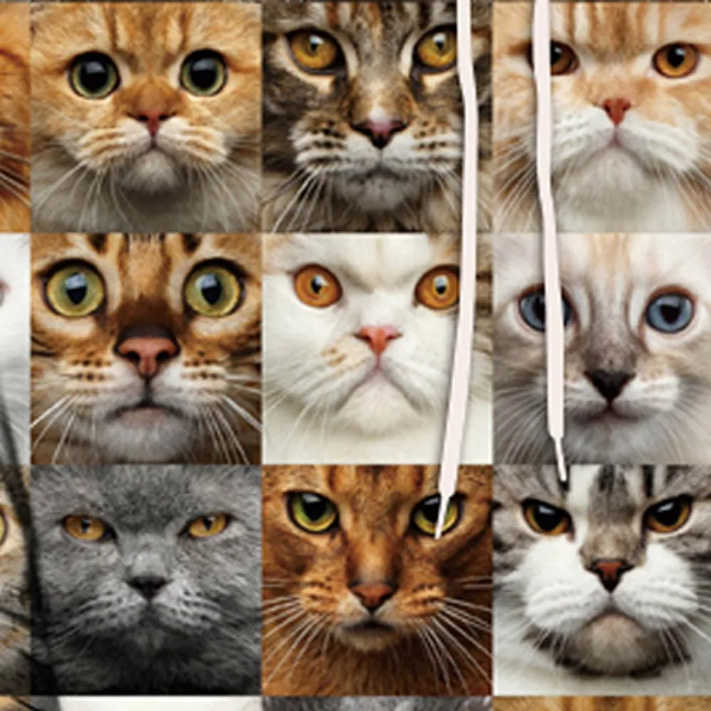 Мужской пуловер с 3D принтом Loverly Cat осенне-зимний теплый узором и длинными