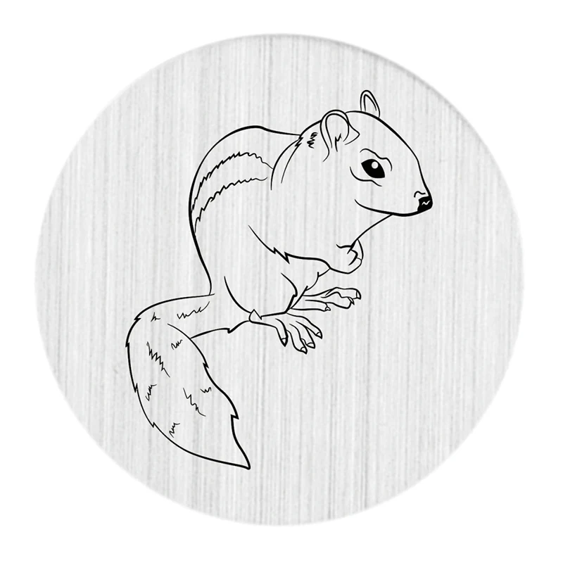 22 мм Нержавеющая Сталь Белка медальон задняя пластина плавающий | Украшения и