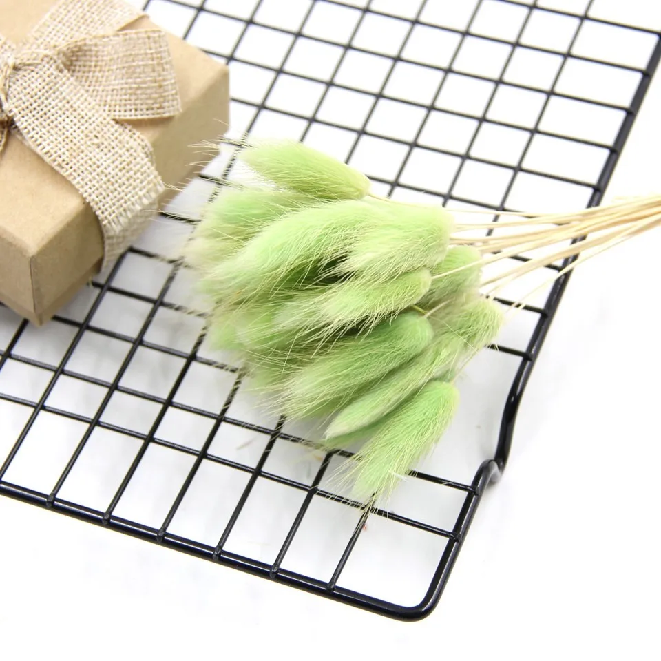 Green-100pcs 100 шт./лот, милые искусственные букеты lagunus Ovatus& Uraria Picta, сделай сам, кроличий хвост, трава, букеты, свадебные украшения - Цвет: Green-100pcs