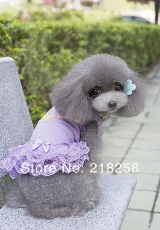 Новая Милая летняя одежда роскошное женское платье для собак бесплатная