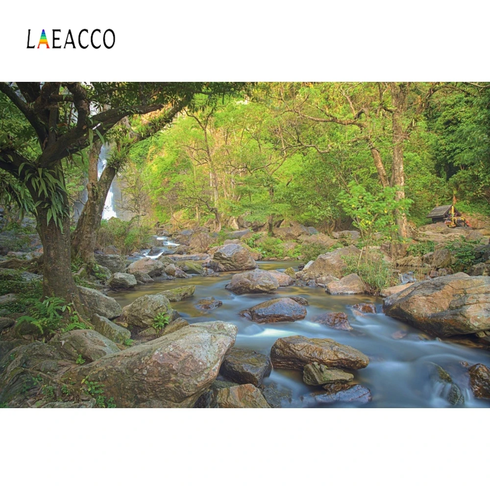 Laeacco речной камень лес Природа фотографии фоны персонализированные семья фон для