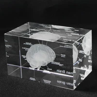 3d human anatomical model paperweight laser etched brain crystal glass cube anatomy mind neurology thinking medical science gift
