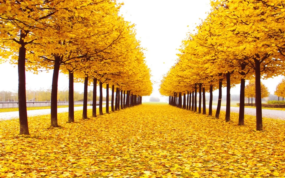 Фото на заказ размер классический домашний декор auturen природный пейзаж 3d