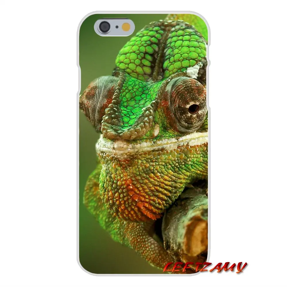 Animal IGuana Хамелеон ящерица аксессуары для телефона Чехлы Samsung Galaxy A3 A5 A7 J1 J2 J3 J5 J7 2015