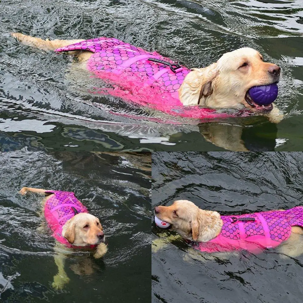 DannyKarl новый стиль весна летняя жилетка для собак кошка жилет сетка хлопок ремень