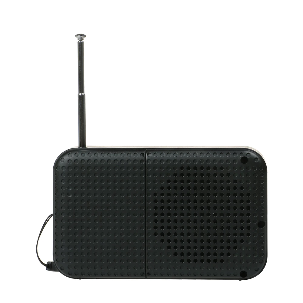 WOOPERTERCEO мини FM радио Динамик цифровой светодиодный Дисплей s Поддержка наушники TF