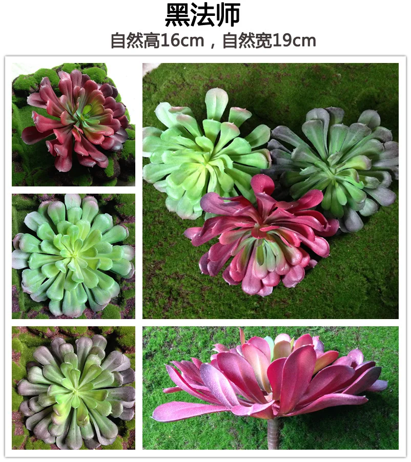 NuoNuoWell 3x Aeonium Черный Розовый Великолепная 7 5 ''голова искусственное