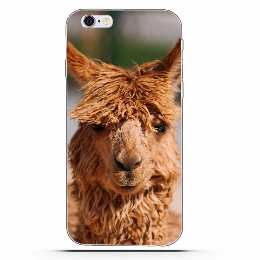 Swag Llama Alpacas для Apple iPhone 4 4S 5 5C 5S SE 6 6S 7 8 Plus X Мягкие ТПУ чехлы мобильных телефонов |