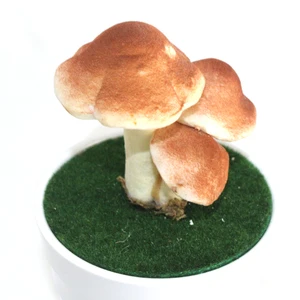 NuoNuoWell 10x искусственный пенный гриб декоративные овощи домашний декор микро-пейзаж DIY комикс-con Craft