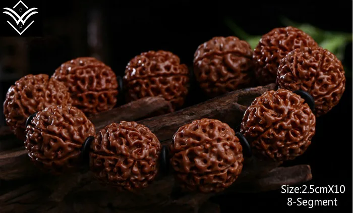 Rudraksha 8 сегментов 25mmX10 мясистый браслет из бисера Будды