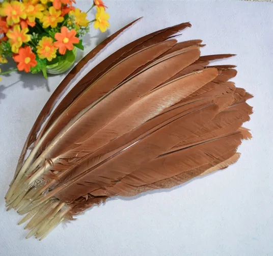 Новинка! Бесплатная доставка Продажа 100 unids/лот Птицы Красивые орлиные перья 35 40