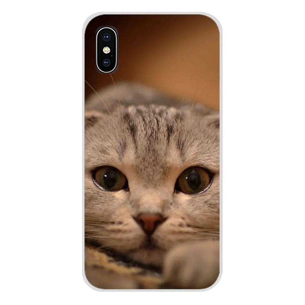 Для HTC One U11 U12 X9 M7 M8 A9 M9 M10 E9 Plus Desire 630 530 626 628 816 820 830 meow милый кот прозрачный чехол из