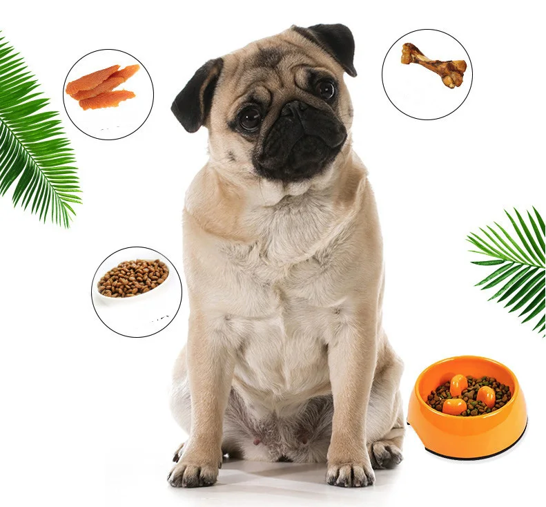 High Capacity Automatic Water Dispenser Feeder Cat Food Bowl Dog Double Bowl Best Selling Pet Supplies