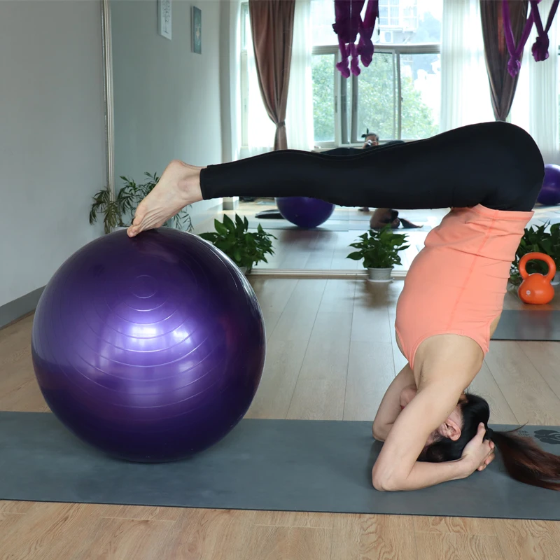 Exercise balls 55