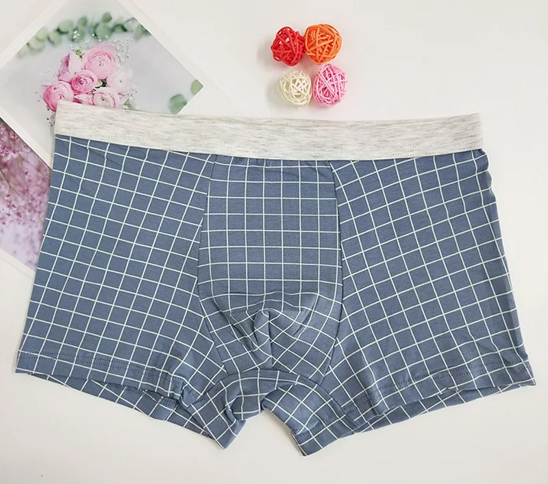 Новинка, мужские боксеры, нижнее белье, хлопок, дышащие, Cueca Masculina, Мужские боксерские шорты, мужские трусы, клетчатые мужские трусы, 2XL-4XL