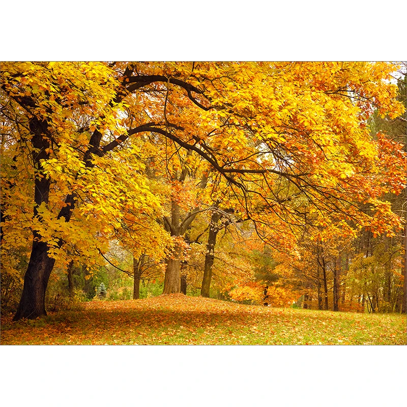 Фон для фотосъемки Allenjoy с осенними листьями золотистыми искусственными