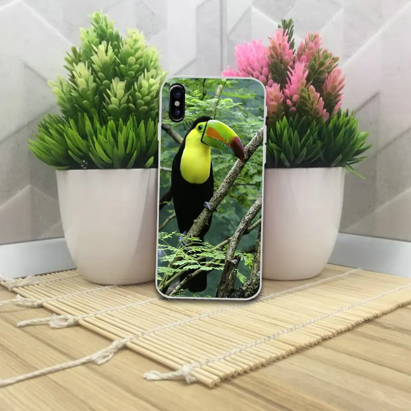 Мягкие ТПУ Силиконовые телефонные чехлы с рисунком птиц для iPhone 4 мобильный