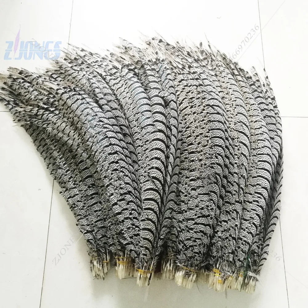 

ZJONES Wholesale 50pcs/lot 32-36inch(80-90cm) Natural Good Quality Zebra Pheasant Feather for Carnival Decoration Headdress