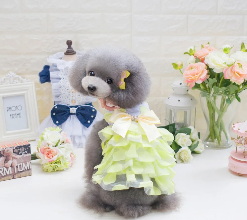 Новейшее платье для собак в Корейском стиле щенка чихуахуа плюшевый пудель
