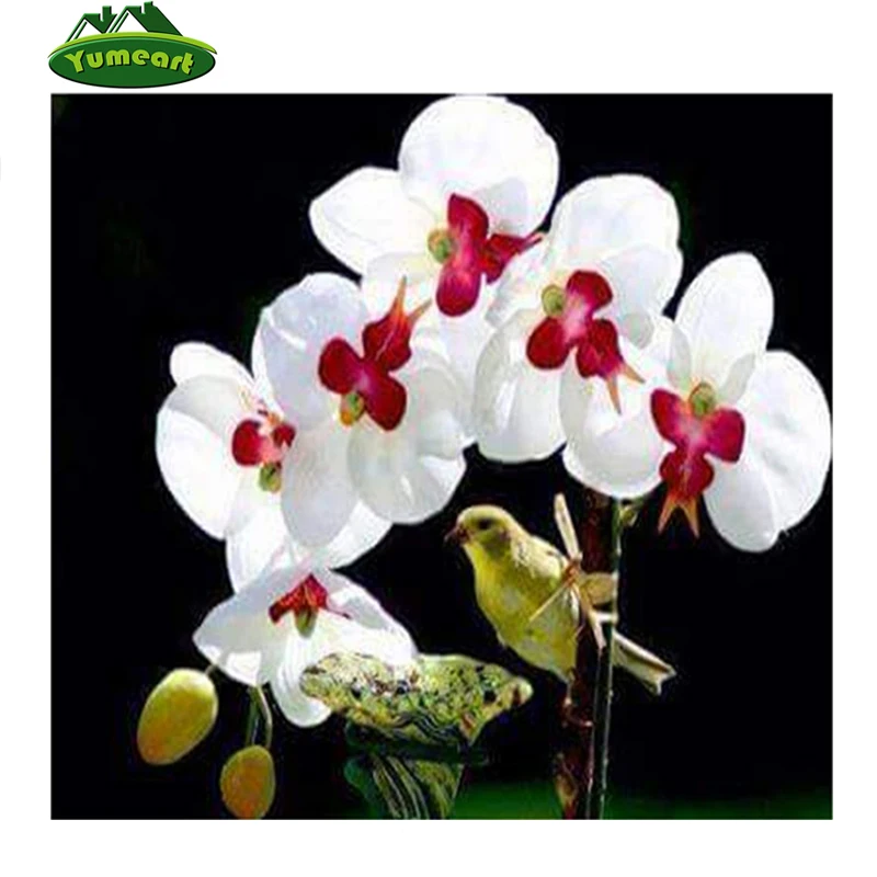 Алмазная 5D картина с орхидеей Phalaenopsis DIY мозаика цветами квадратные Стразы из