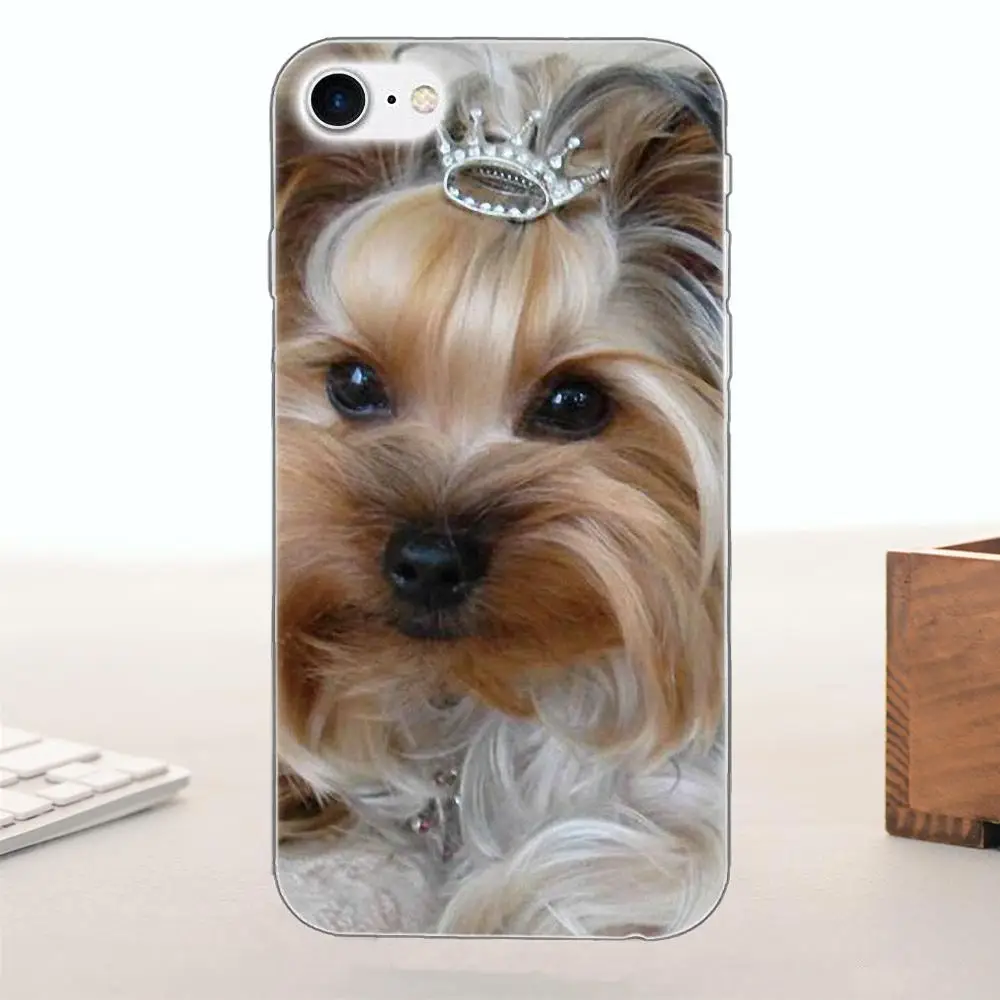 Bixedx для Apple iPhone 4 4S 5 5C SE 6 6S 7 8 Plus X ТПУ защитные чехлы телефонов енот Йоркширский