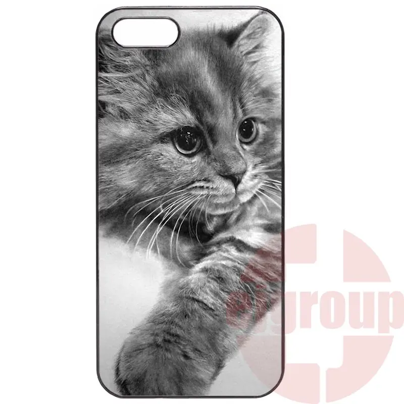 gray cat with a zenit camera For Galaxy Y S5360 Note 3 Neo Ace Nxt Plus On5 On7 On8 2016 Amazon Fire Hard Case |