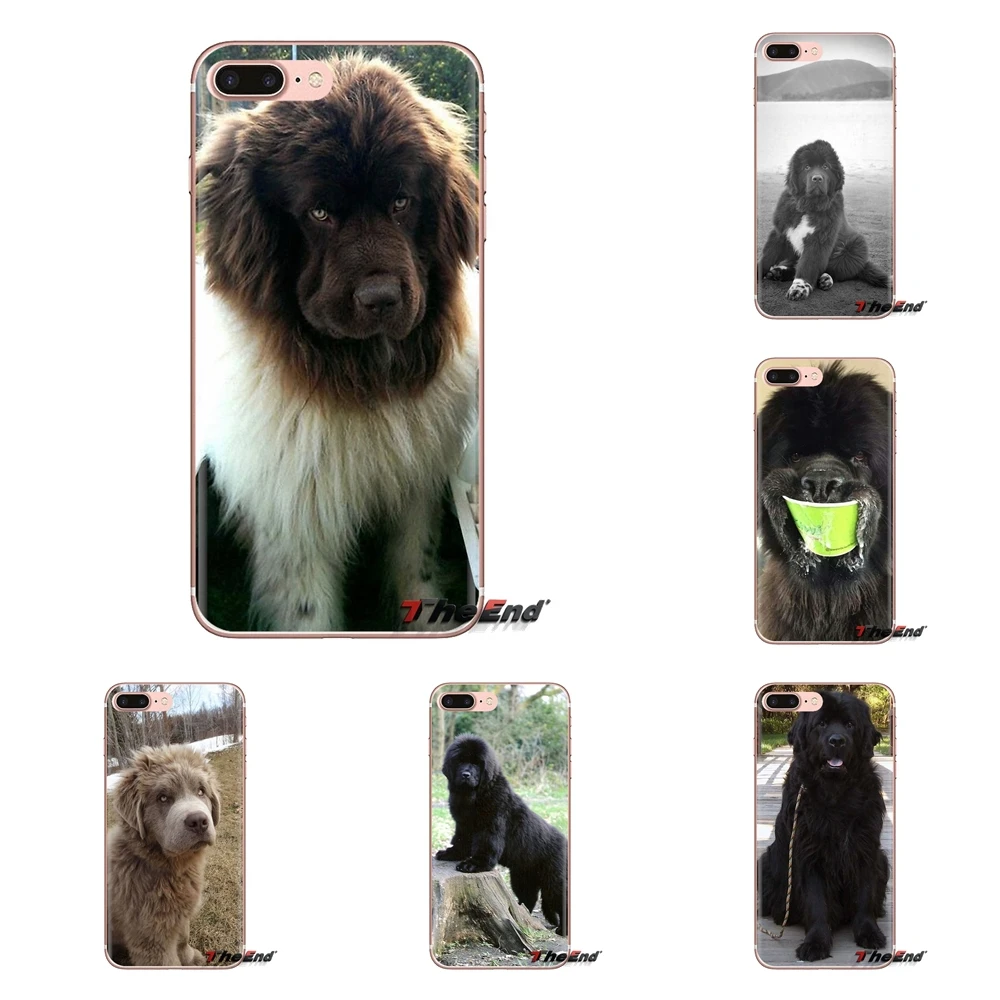 Для Samsung Galaxy A3 A5 A7 A9 A8 Star A6 Plus 2018 2015 2016 2017 прозрачные мягкие чехлы Чехлы Newfoundland dog Gentle