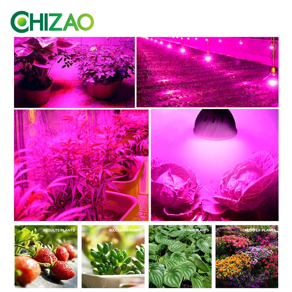 Светодиодная фитолампа CHIZAO E14/E27/GU10/MR16 светильник выращивания растений 220 В 110