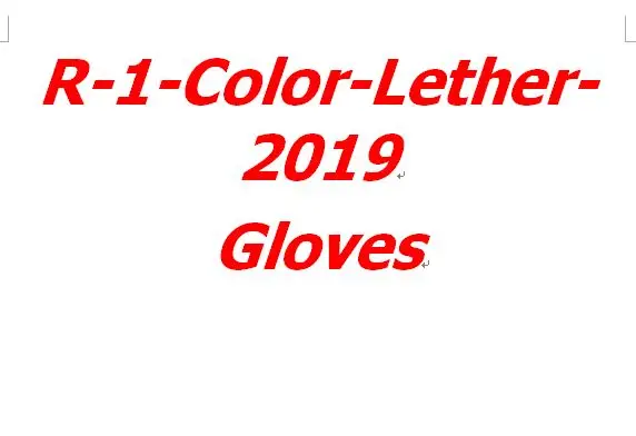 

R-1-Color-Leather-2019 Gloves Cycling Gloves Moto Glove ALL SAME As RE....