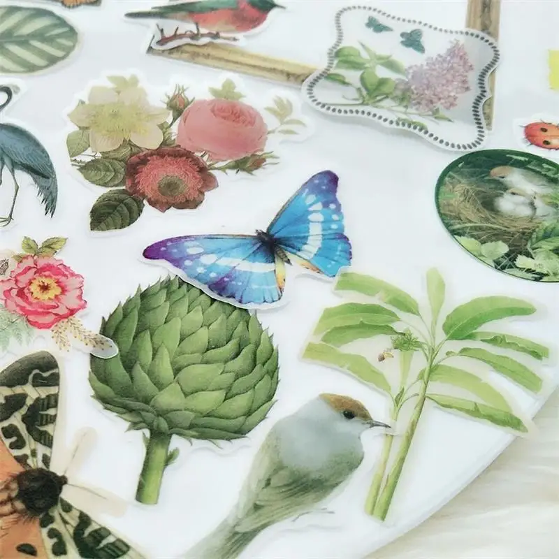 Высечки для бумаги в виде животных и растений 90 шт.|plants coloring|plant plantsplant cuttings |