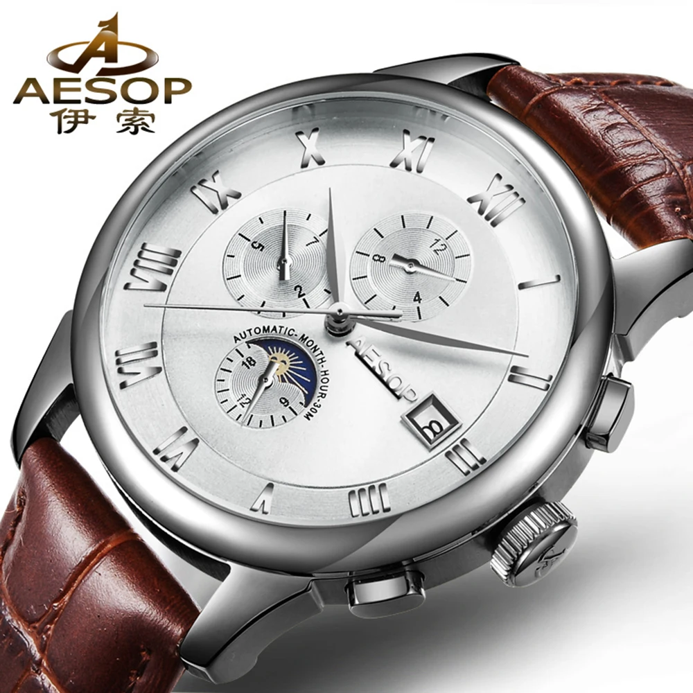 AESOP брендовые часы Мужские Роскошные автоматические механические день дата