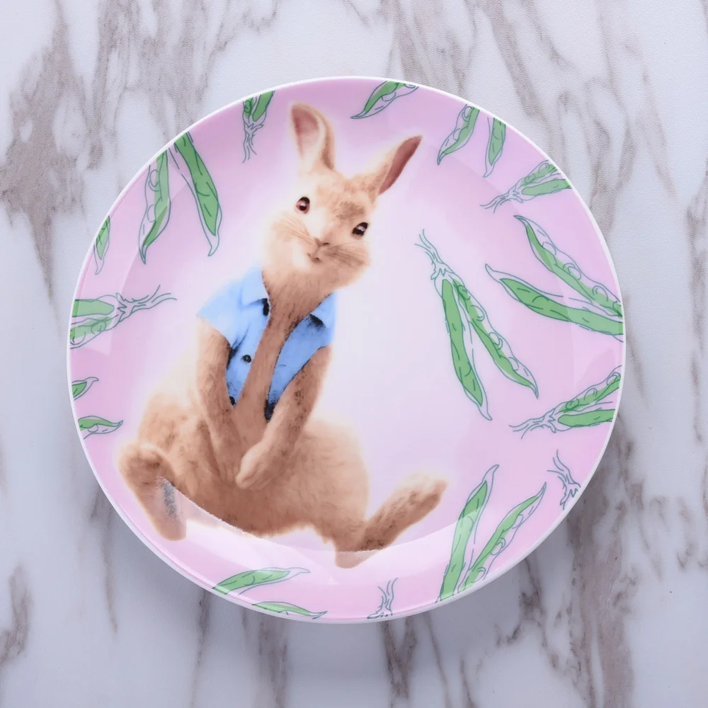 6 дюймов Bone Китай блюдо круглая тарелка фруктовый торт детский подарок