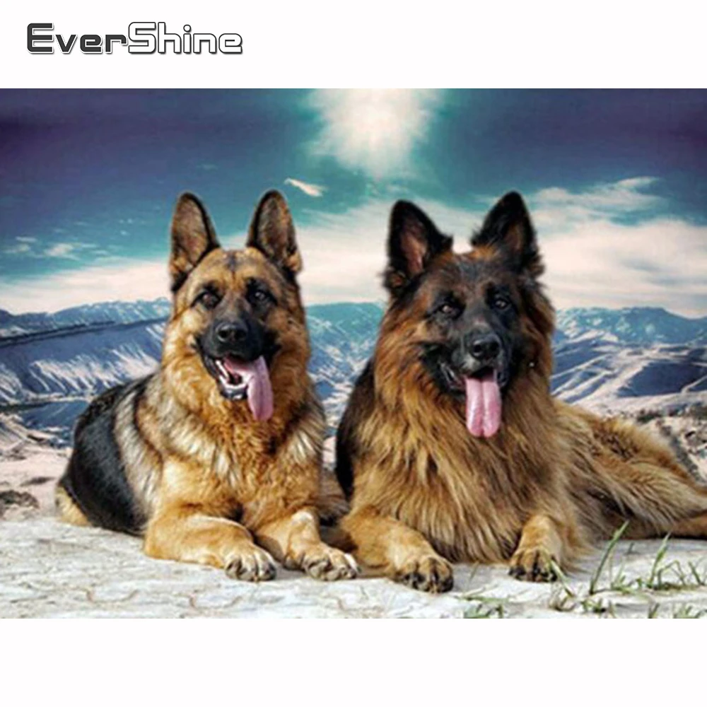 

Evershine Алмазная вышивка собака полная квадратная Алмазная картина животное вышивка крестом Набор Алмазная мозаика набор украшение дома Про...