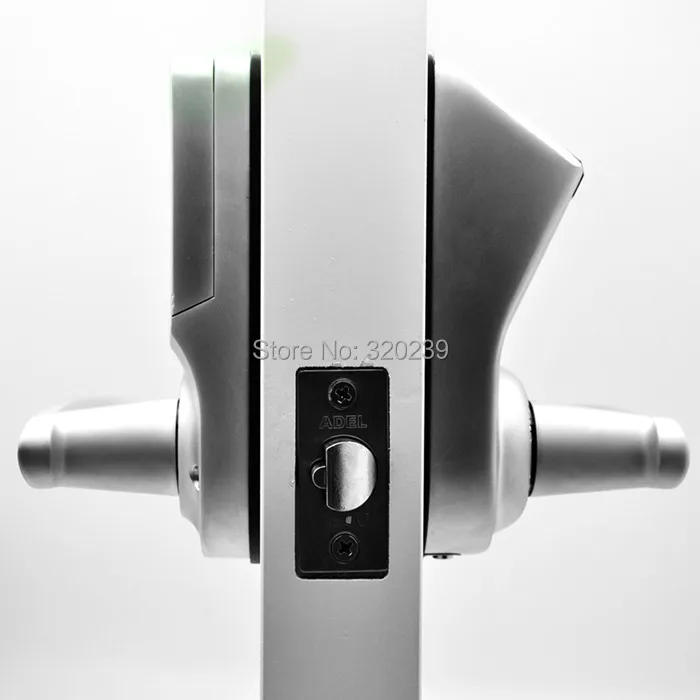 Пальцев замок Щепка 3398 (отпечатков пальцев + пароль ключ) 3 в 1|sliver| |